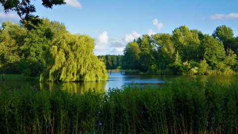 Klimaat en natuur in Oostenrijk 