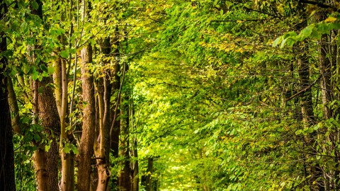 Doe mee aan de Natuurwerkdag in Almere