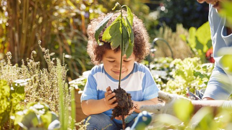 Nieuwe gevarieerde beplanting langs Schollevaarweg