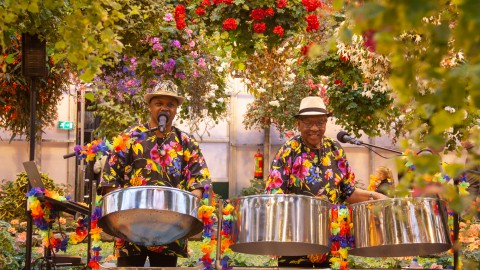 Caribische Week in junglepark de Orchideeën Hoeve