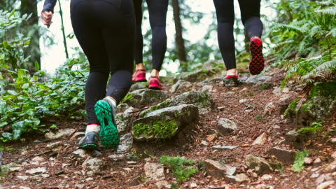 Een work-out in het bos