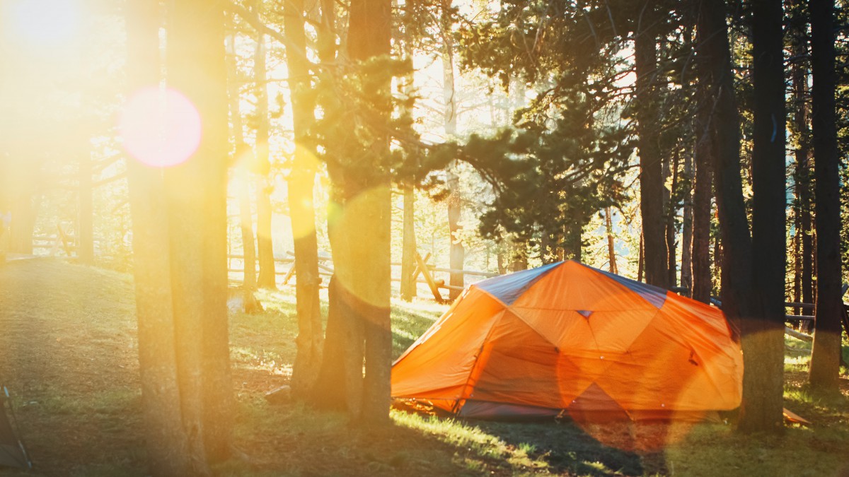 Dé eerste camping in Nederland voor LHBTIQ+ kinderen/jongeren opent haar tentdeuren tijdens Pride Week