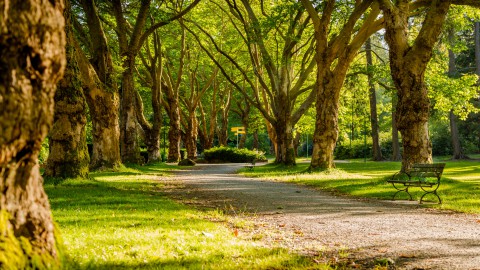 Unieke Nationaal Park-experience