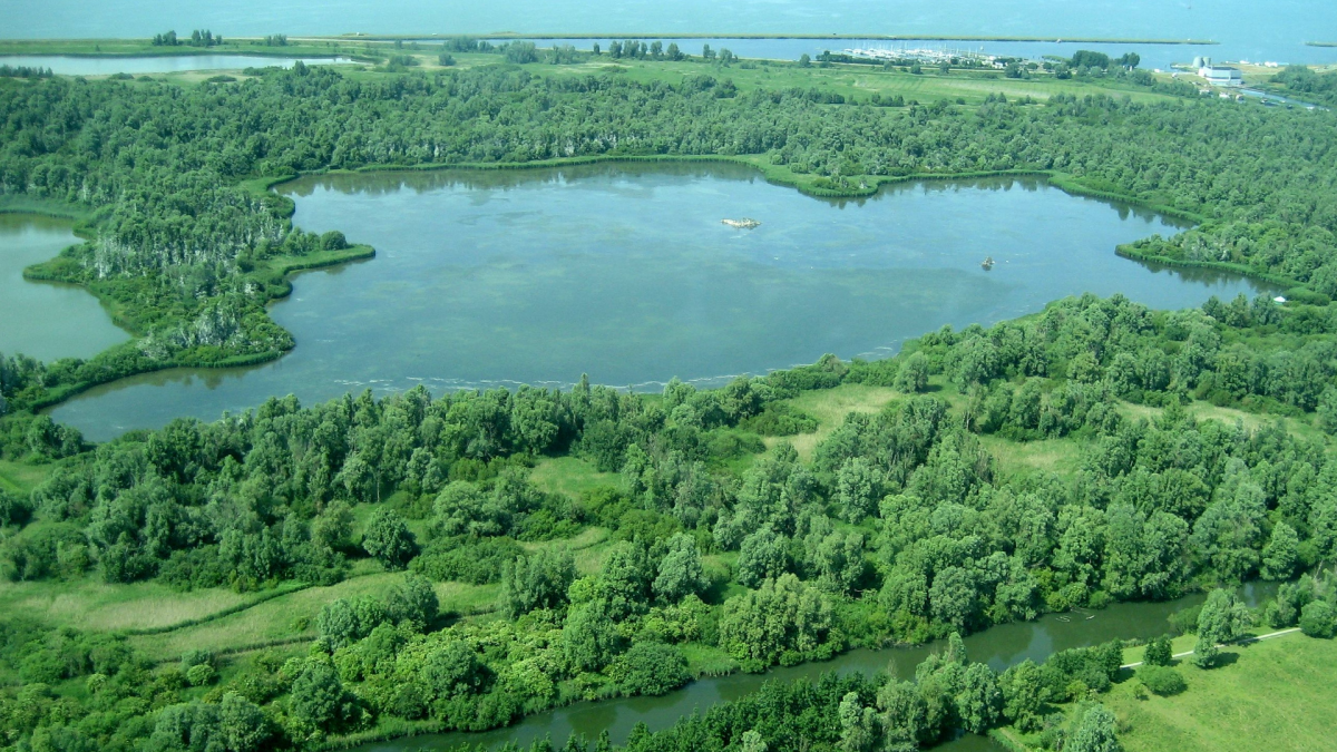 Nieuwe Natura 2000 beheerplan Lepelaarplassen vastgesteld