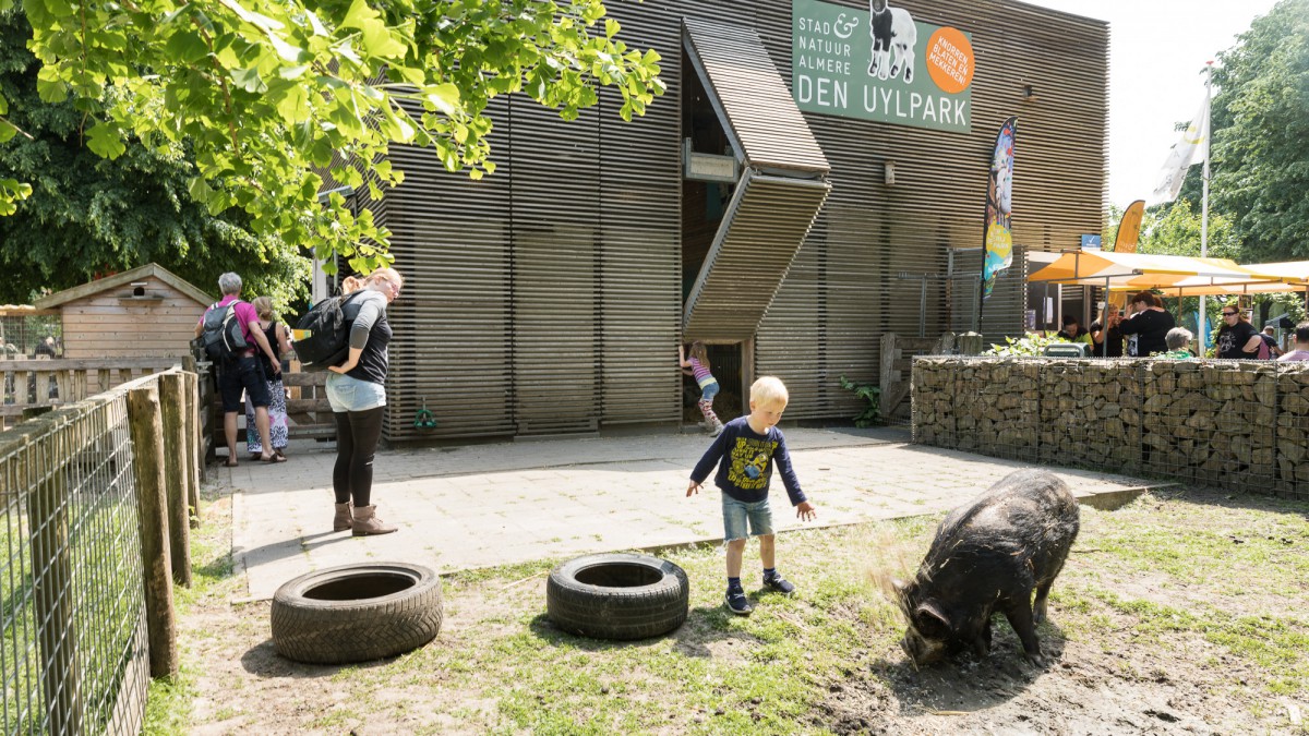 De lente vieren tussen de dieren