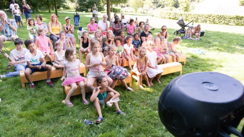 ZOMERFESTIVAL OP DE KEMPHAAN