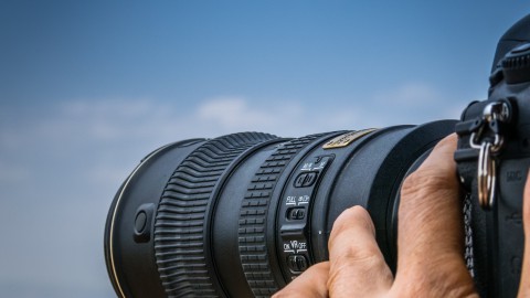 Een fotosafari in de Oostvaardersplassen!