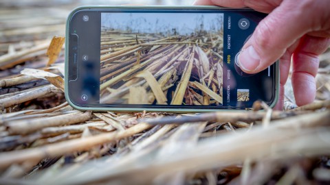 Workshop 'fotografeer de zomer met je mobiel