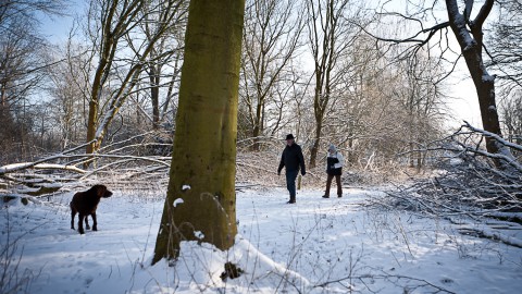 Ontdek je stad en natuur in de kerstvakantie