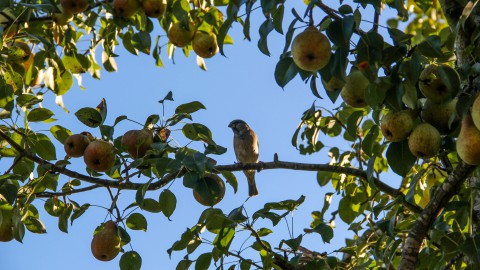 WORKSHOPS ‘SCHILDER DE HERFST’ OP DE KEMPHAAN