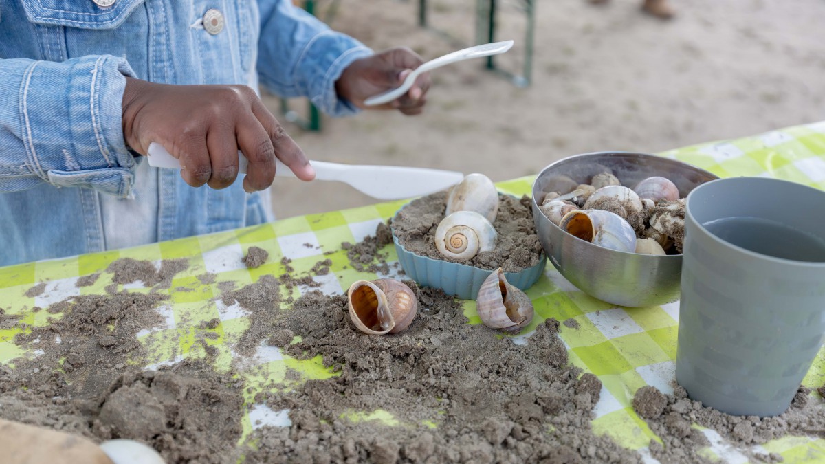 Actief van strand tot bos bij Stad & Natuur in de zomervakantie