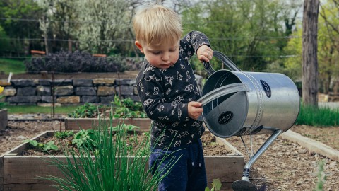 Kinderen en kleinkinderen bezighouden tijdens de zomerdagen