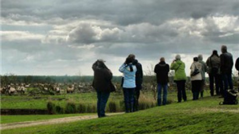 Wandeling Zeearendroute 8+