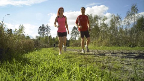 Oostvaardersrun in de Oostvaardersplassen