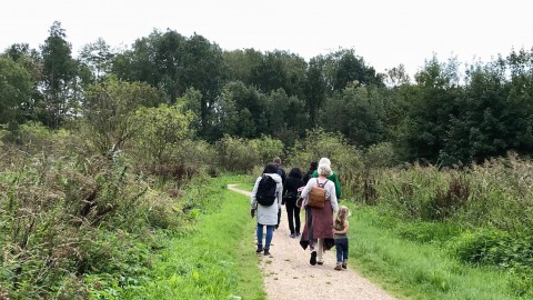 Natuurexcursie Cirkelbos en Museumbos