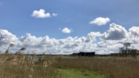 IVN wandelexcursie Oostvaardersbos