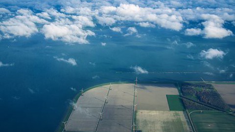 Kotterbos, Oostvaardersbos en de Driehoek zijn weer open