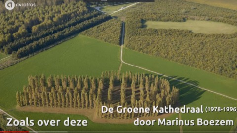 Kunst in de natuur: De Groene Kathedraal