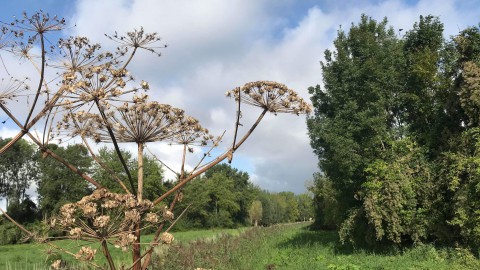 Wolkenvelden en enkele buien.