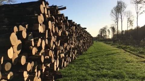 Na een koude nacht overdag zonnig.