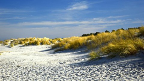 Vakantiehuisjes op de Marker Wadden 