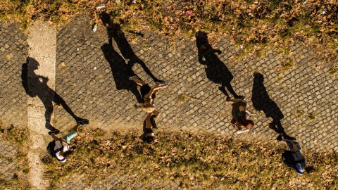 Loop elke dinsdag mee met Wandelclub de Witte Stokjes