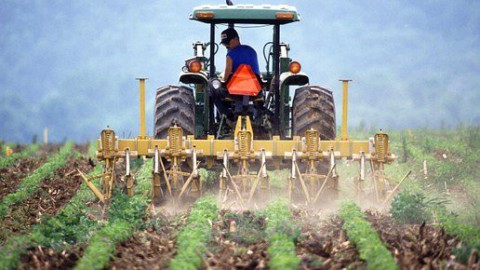 Boeren voeren actie voor eerlijker prijzen