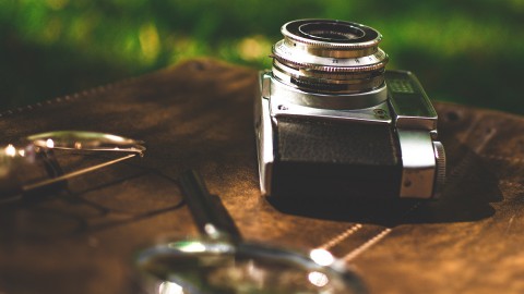 Fotosafari Oostvaardersplassen