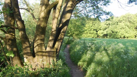 Nieuwjaarsarrangement Almeerder Hout 