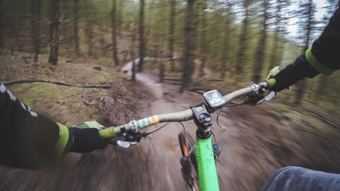 Crossen door de bossen