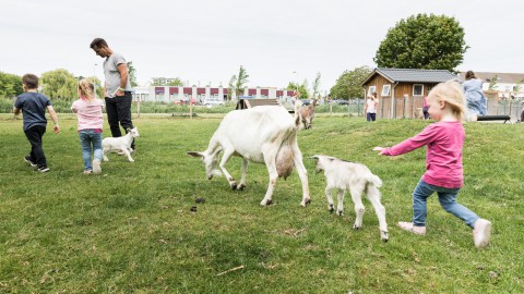 Stad & Natuur viert 4 feestjes op zondag 6 oktober