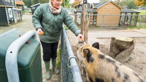 NL Doet bij Stad & Natuur - vrijwilligers gezocht