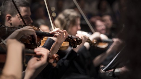 Annuleringen Goede Rede Concerten en verder