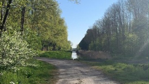 Zomer start met veel zon en zomerwarmte.