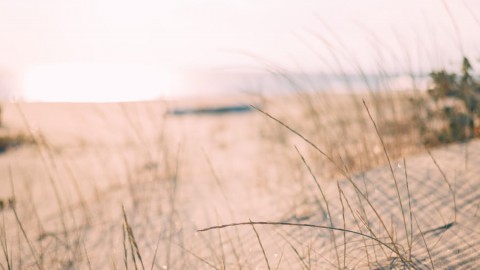 Ondanks coronamaatregelen blijven strandtenthouders optimistisch