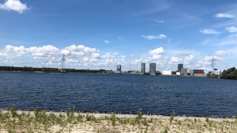 Waarschuwing voor blauwalg bij het Stedenwijkstrand