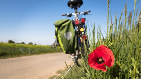 Fietsroute door het mooie Flevoland 