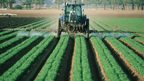 Flevolandse boeren protesteren tegen veevoermaatregelen