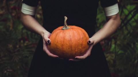 Illegaal Halloweenfeest op bedrijventerrein