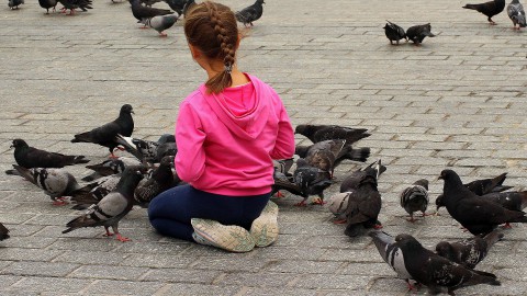 Denk goed na als je vogels voert!