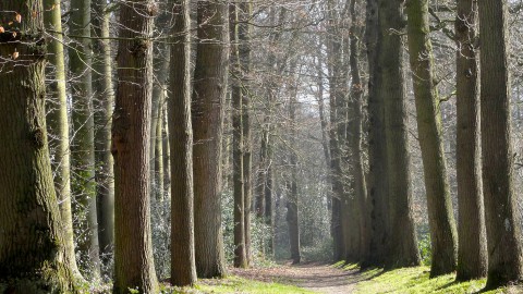 Natuur in tijdens lockdown? Wees welkom en respectvol