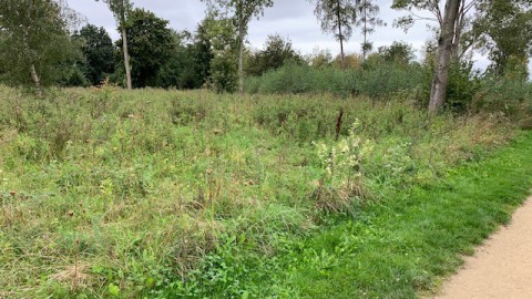 Verbazing over verwaarlozing natuur rondom gedenkmonument