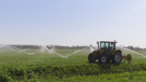 Boeren willen misverstanden wegnemen met leuke activiteiten