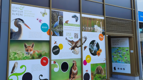 Stad & Natuur zet de natuur in de etalage in het Stadscentrum