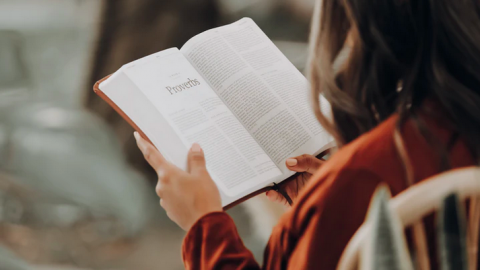 BoekMeetings voor echte boekenliefhebbers