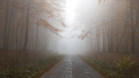 Code geel vanwege plaatselijk dichte mist