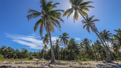 Poortenaren in Caribische sferen