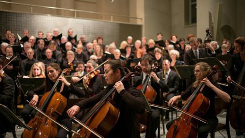 Flevoland gastprovincie nationale viering bevrijdingsdag 