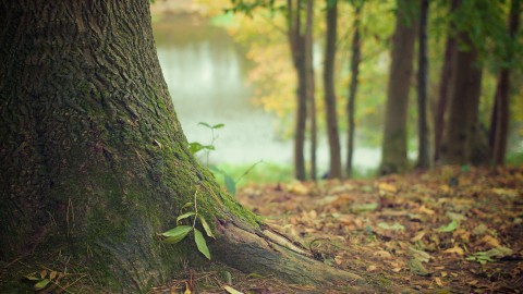 Waarschuwing voor drukte in natuurgebieden